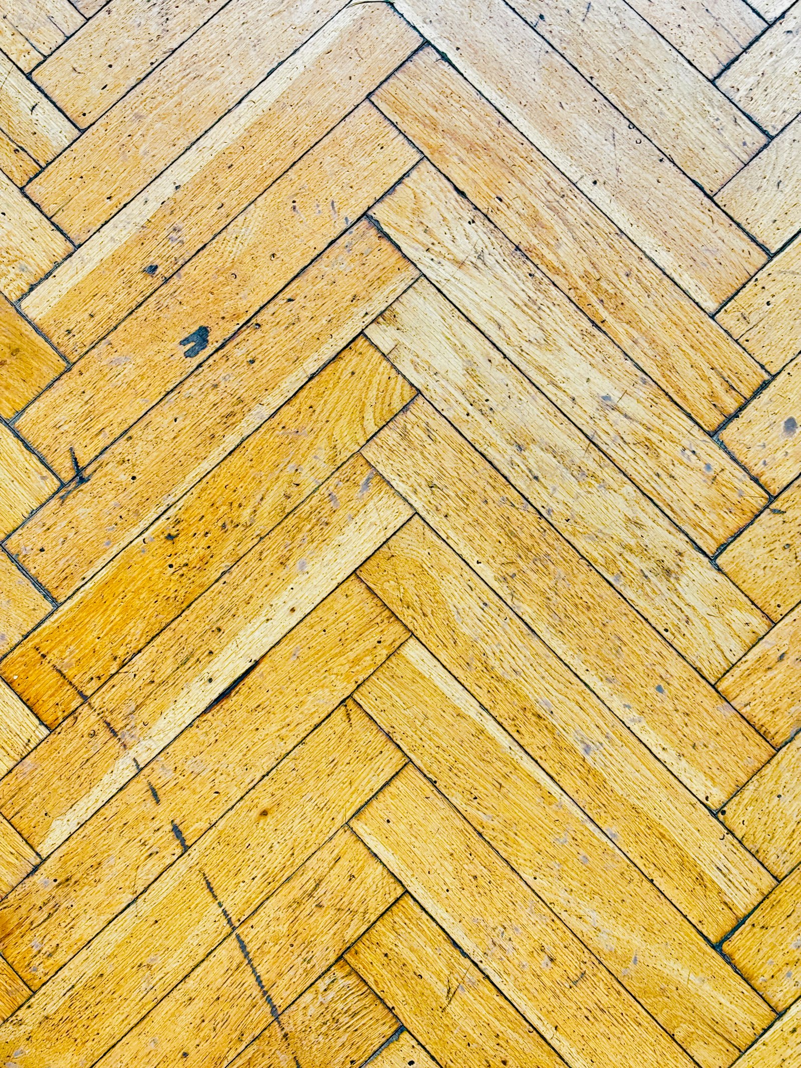Timber floor renovation
